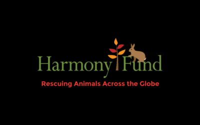 The Morning Show: Tues., Jan. 18, 2022