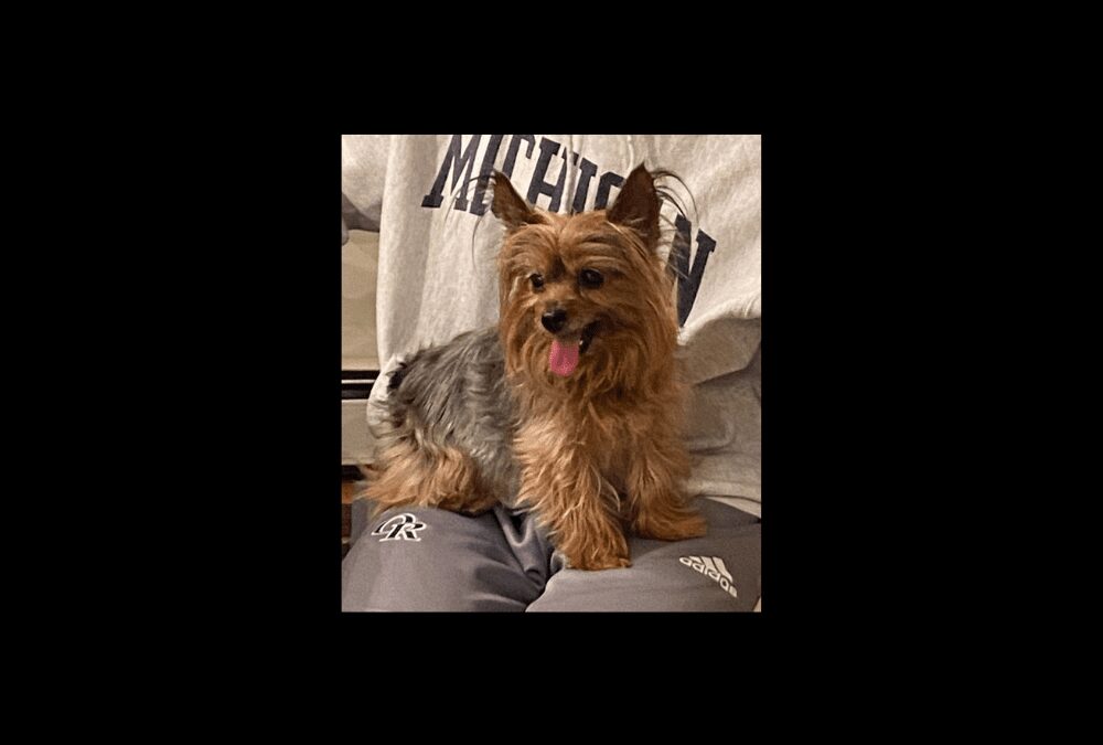 For the Love of Lola