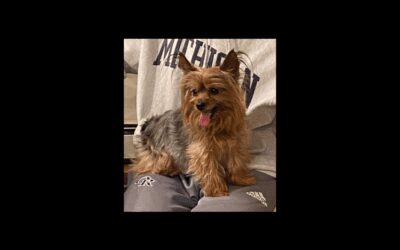 For the Love of Lola