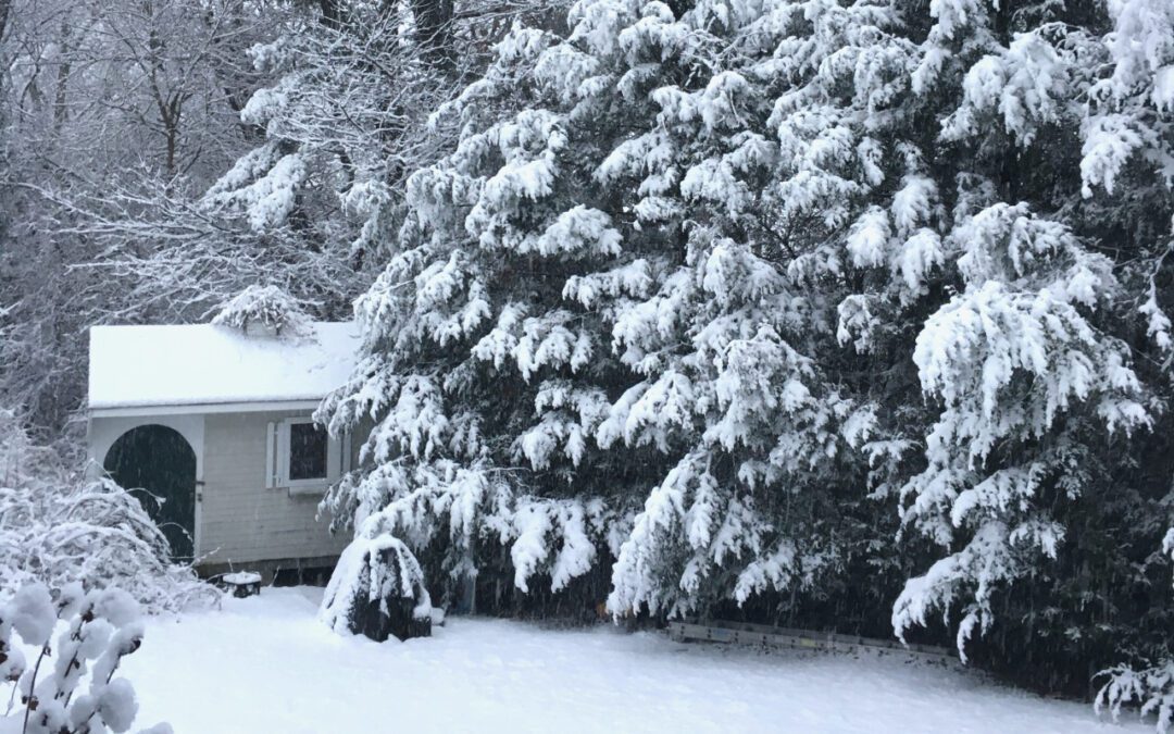 WATD Chief Meteorologist Rob Gilman Discusses What to Expect with this Winter Storm