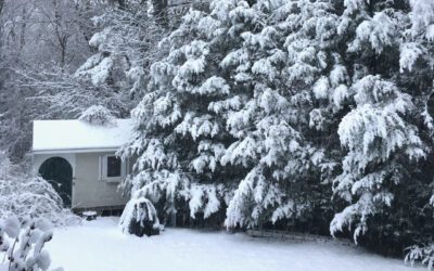 WATD Chief Meteorologist Rob Gilman Discusses What to Expect with this Winter Storm