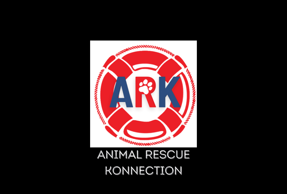 The Morning Show: Tuesday, 3/15/22