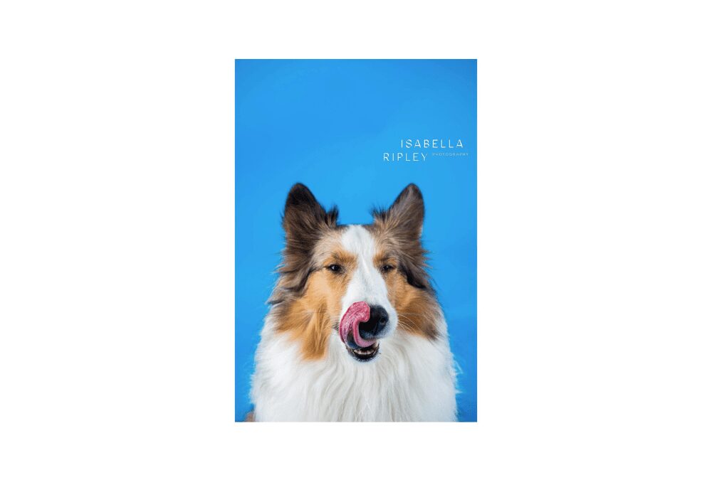 The Morning Show: Tuesday, 3/8/22