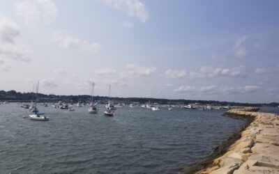 State Senator Su Moran Joins WATD to Discuss Legislation Aimed at Preventing Radioactive Water from Being Dumped into Cape Cod Bay