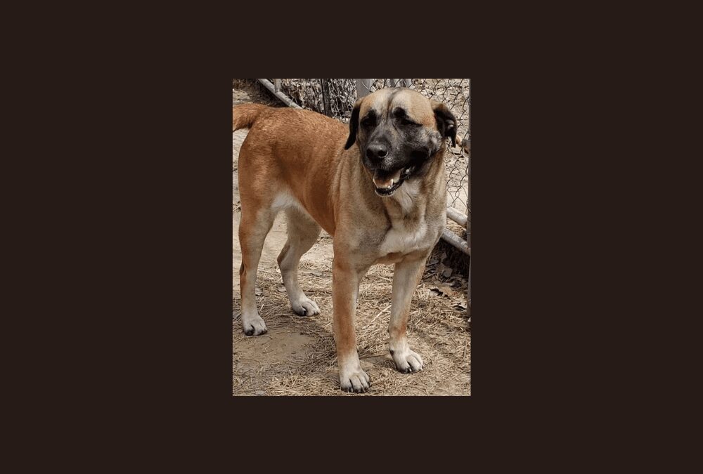 Gabby wants to be your new best friend