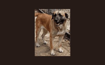 Gabby wants to be your new best friend