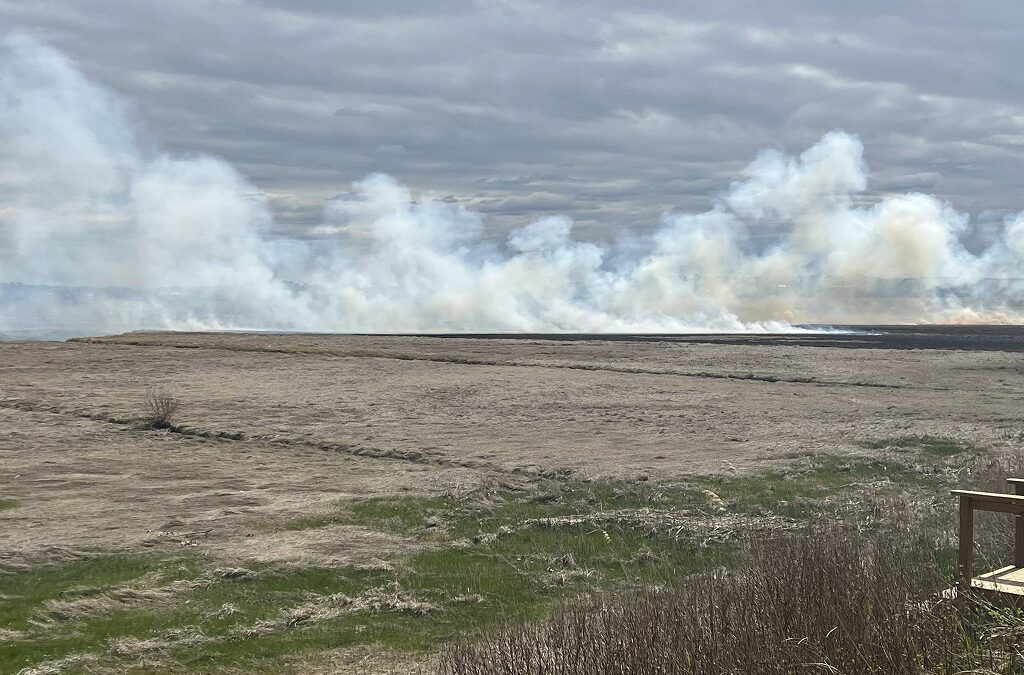 Crews On Scene For Marshfield Brush Fire