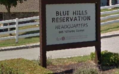 Skeletal Remains Found In The Blue Hills