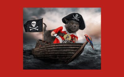 Kitty Cat On the Hunt for the Purrfect Forever Home