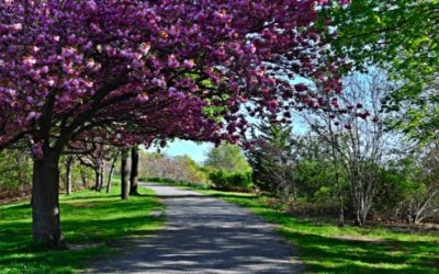 Walk of the Week: April 21, 2022