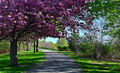 Walk of the Week: April 21, 2022