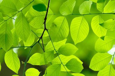 Walk of the Week: May 19, 2022