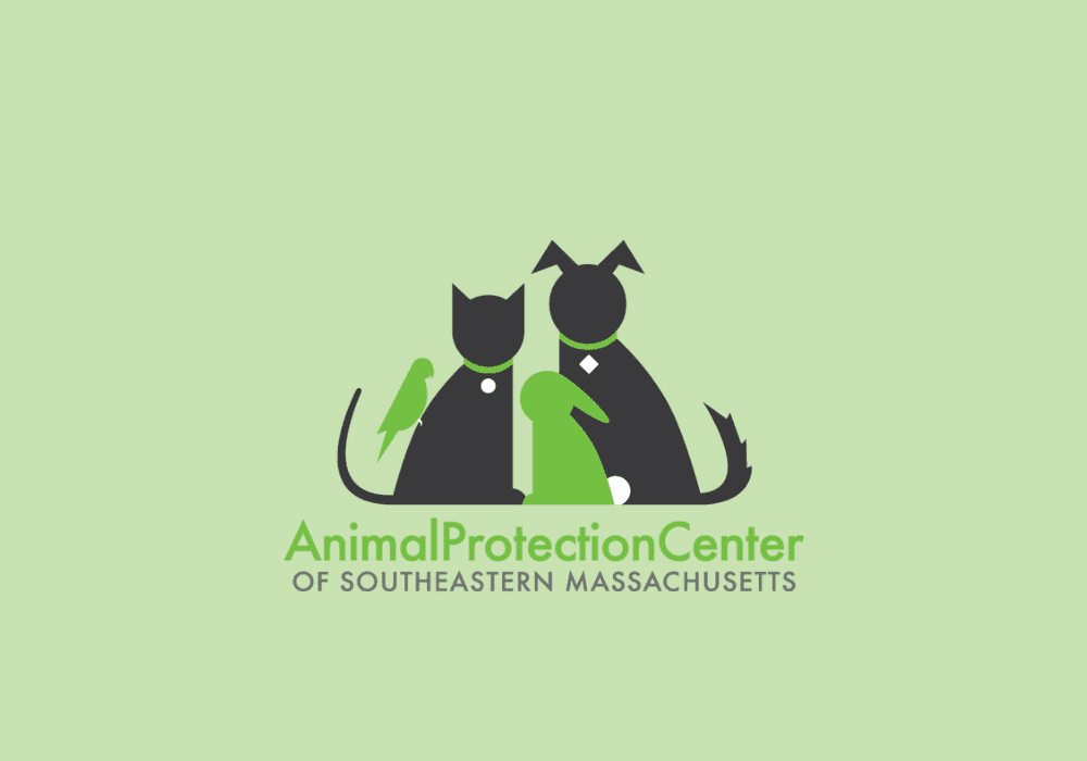 Animal-Protection-Center-Brockton
