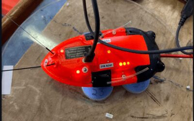 Missing Stellwagen Sanctuary Whale Tag Located in Truro