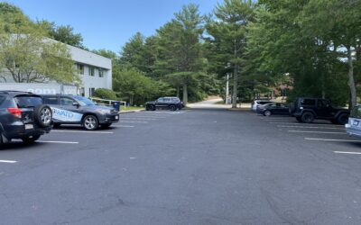 Hanover Veterinarian says Excessive Heat Can Cause Burns to Pets on Pavment, Concrete