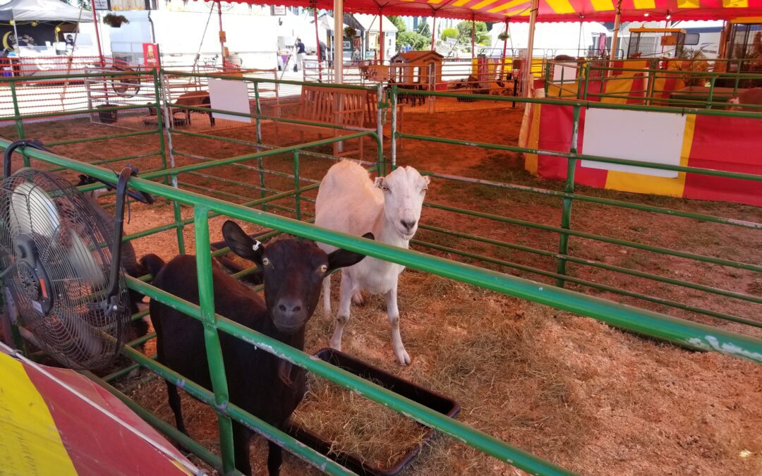 Sights and Sounds from Opening Day of the 154th Marshfield Fair