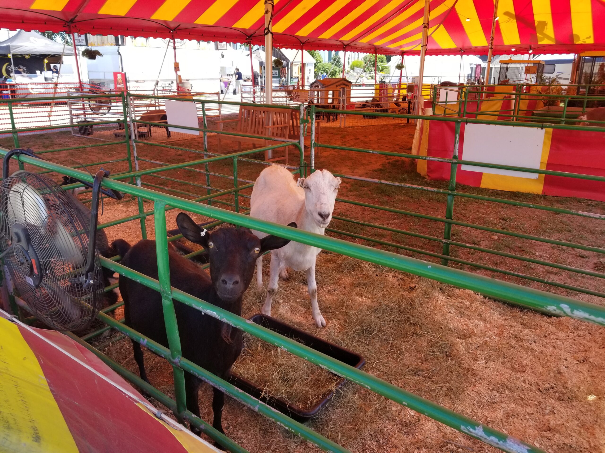 Sights and Sounds from Opening Day of the 154th Marshfield Fair WATD