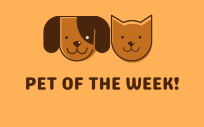 The Morning Show: Monday, August 5, 2024