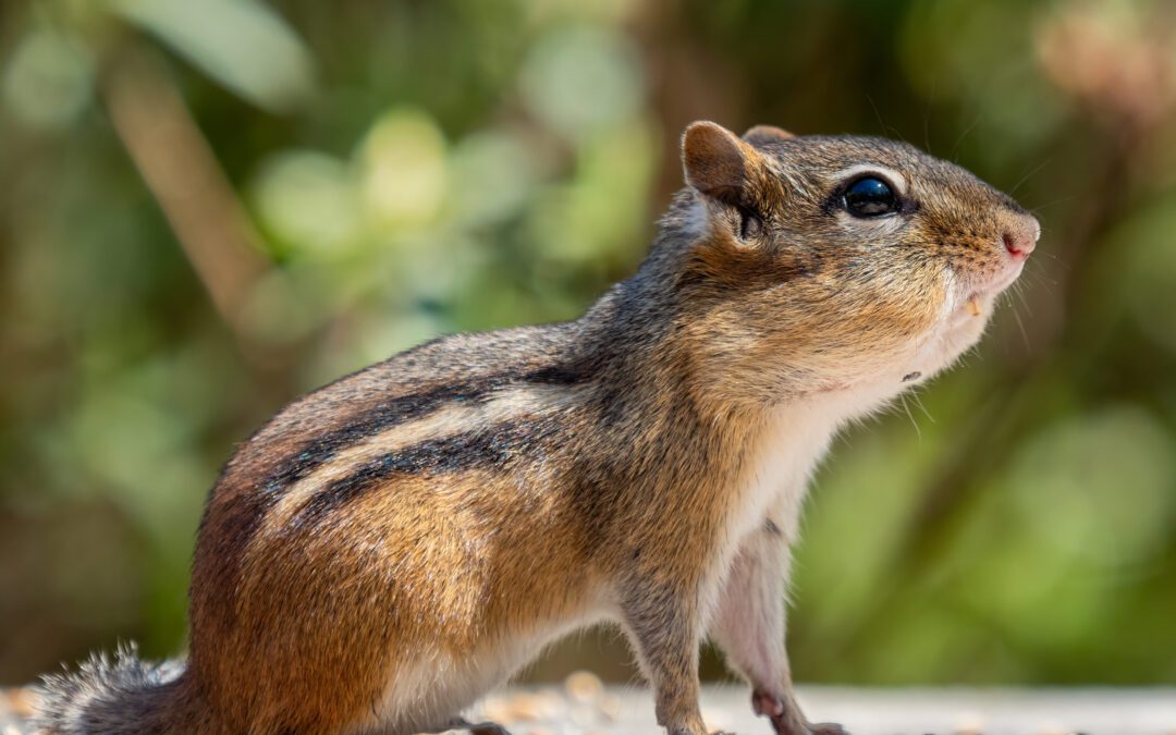 Walk of the Week: June 30, 2022