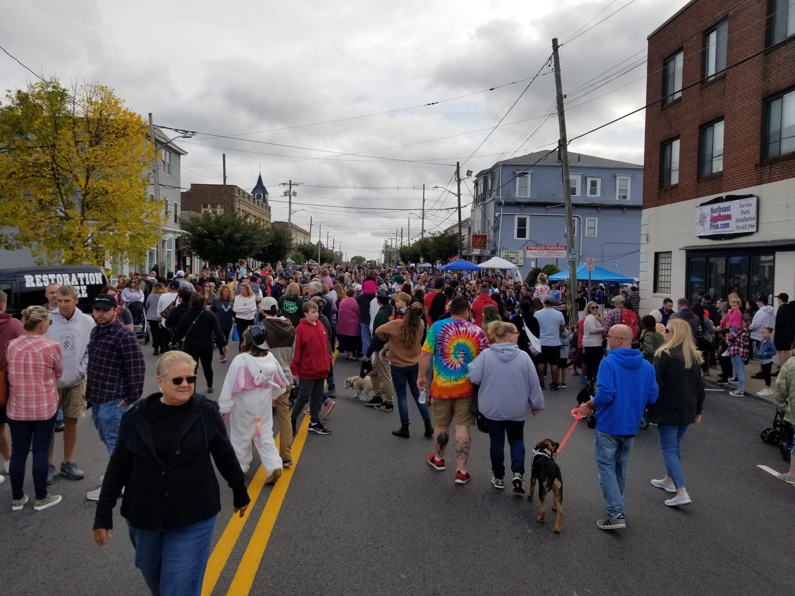 Rockland Fall Festival Returns on Saturday, with Vendors, Bands, and