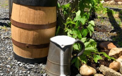 Beere & Cyder Fest at the Alden House in Duxbury this Saturday