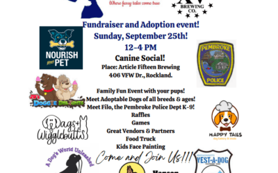 Buddy and Friends Canine Social Saturday, Sept. 24th in Rockland