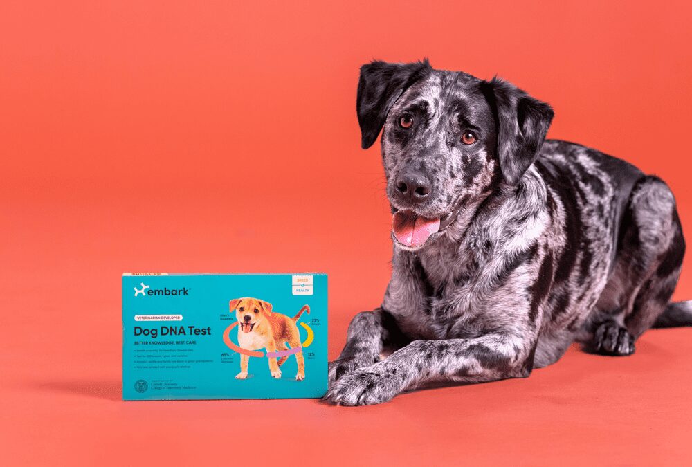 The Morning Show: Tues., October 25, 2022