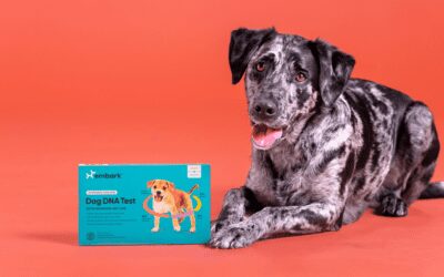 The Morning Show: Tues., October 25, 2022