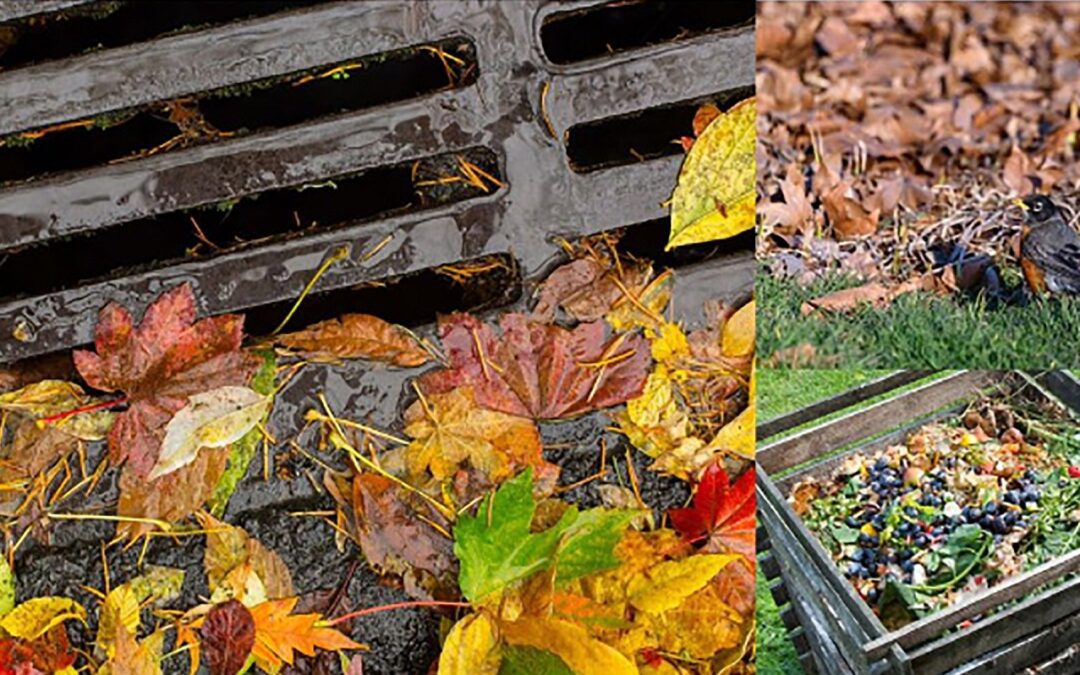 Residents Being Urged To Adopt A Storm Drain