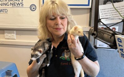 The Morning Show: Tuesday, November 29, 2022