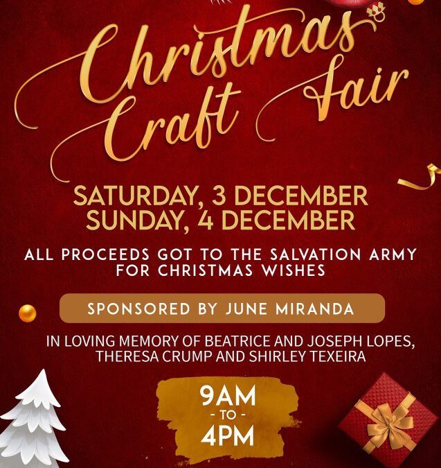 Christmas Craft Fair in Plymouth