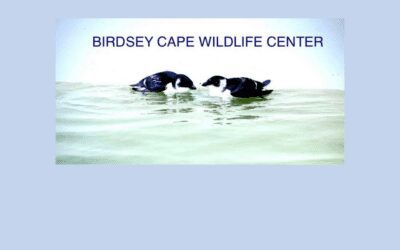 The Morning Show: Tues., March 19, 2024