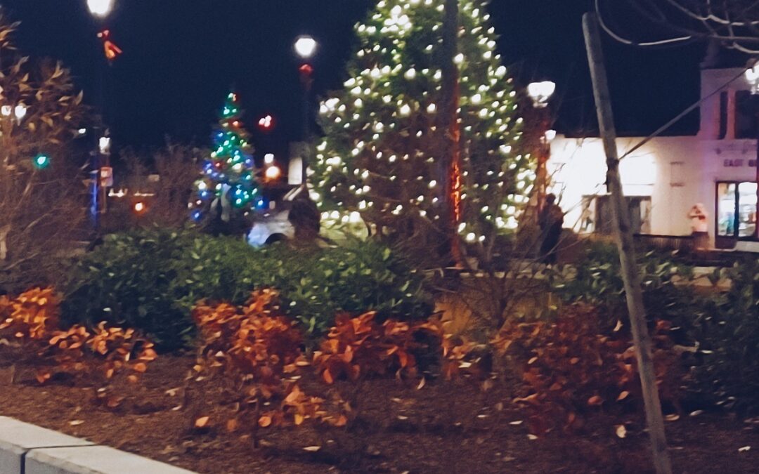 Car Crashes Into East Milton Square Christmas Tree