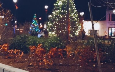 Car Crashes Into East Milton Square Christmas Tree