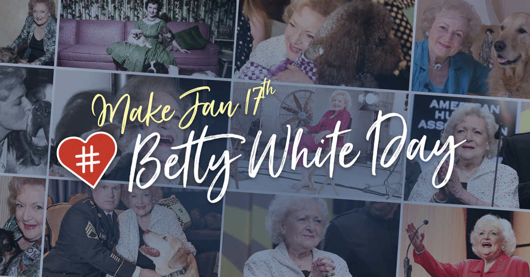 The Morning Show: Tues., Jan. 17, 2023