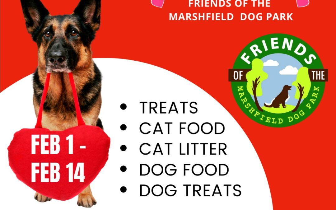 Friends of the Marshfield Dog Park Organizing Third Annual Pet Food Drive
