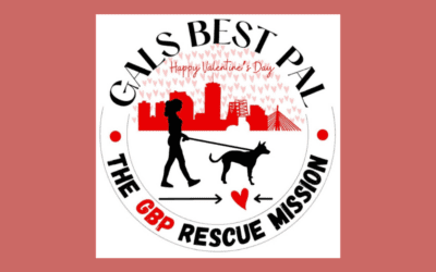 The Morning Show: Tues., Feb. 14, 2023