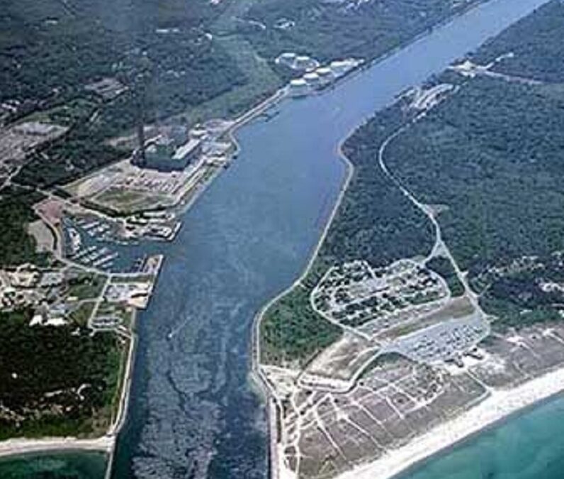 Right Whales Cause Closure Of Cape Cod Canal