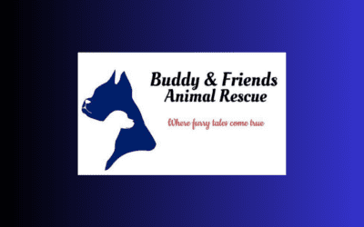 The Morning Show: Tuesday, April 11, 2023