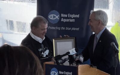 Massachusetts Observes First Right Whale Day