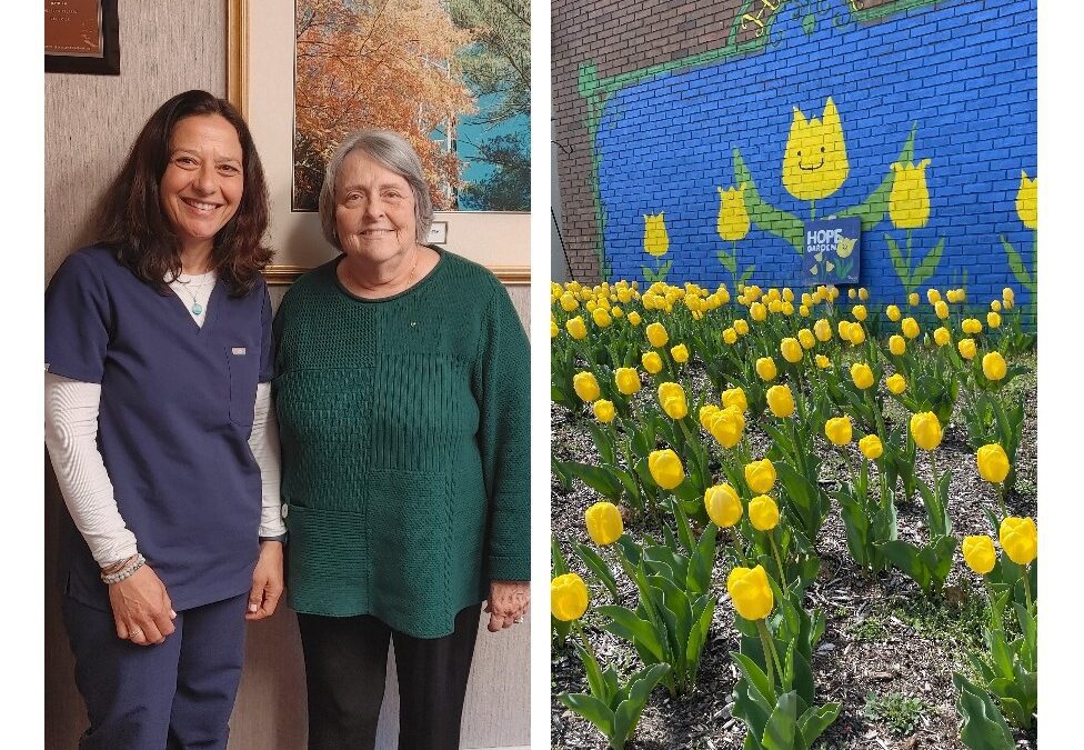 A Discussion On The Yellow Tulip Project