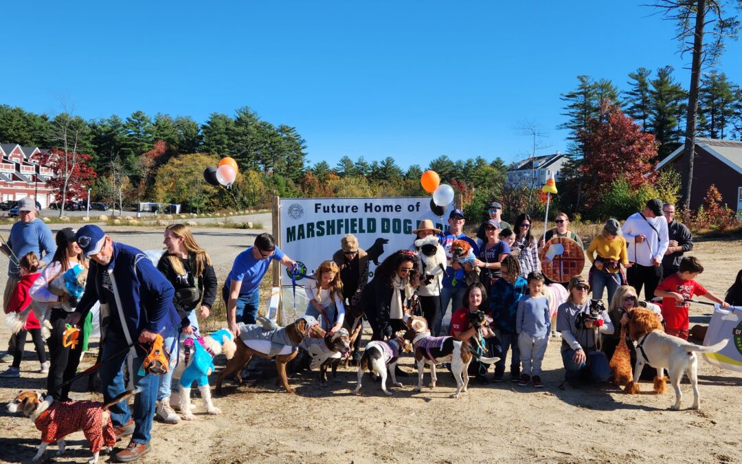 Marshfield Dog Park Project on Track for Summer Opening