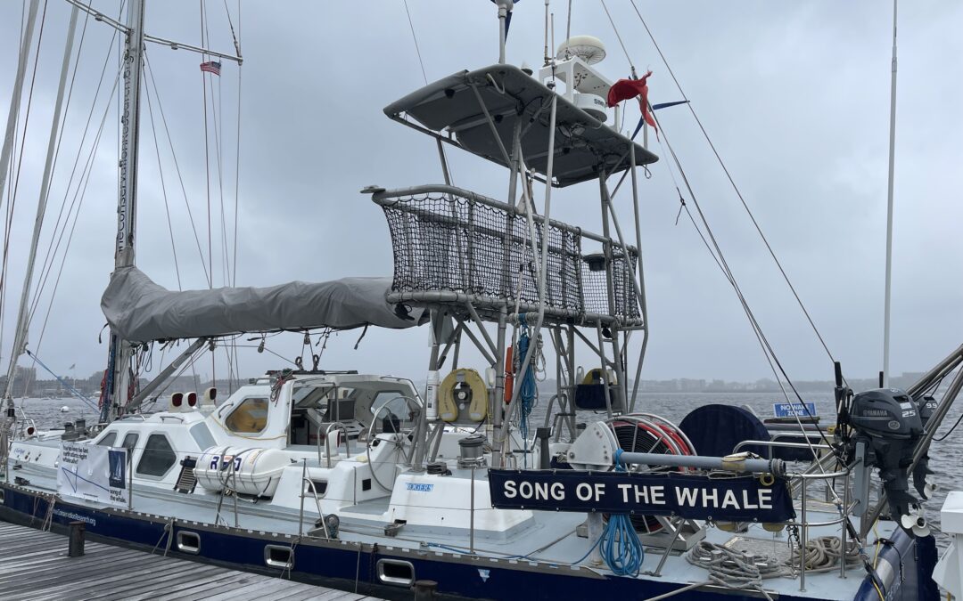 Stories from the Song of the Whale