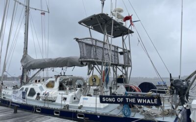 Stories from the Song of the Whale