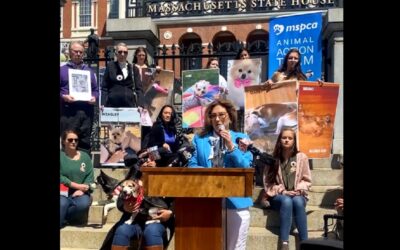 Rally For Ollie’s Law Held At State House