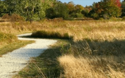 Walk of the Week: April 27, 2023