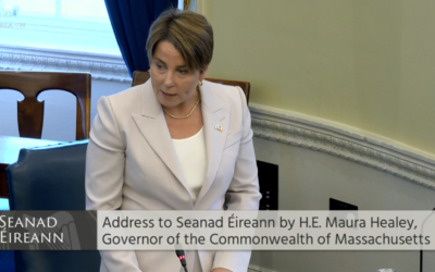 Healey Discusses Partnership, Equality In Address To Irish Senate