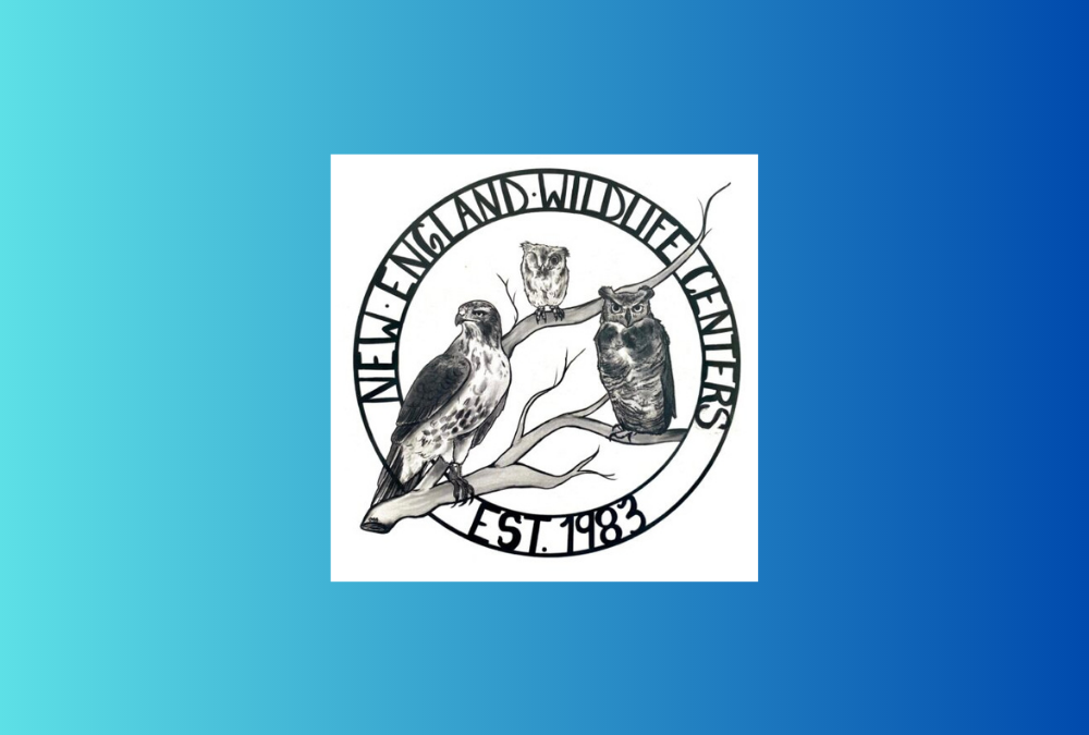 The Morning Show: Tuesday, September 17, 2024