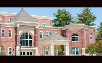 One Article On Warrant For Hanson STM