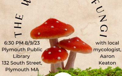 Explore the Amazing World of Fungi in Plymouth